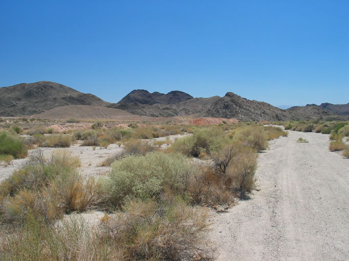 Looking down Spanish Canyon.