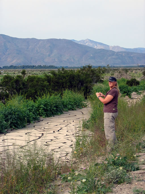 Jamie finds cracked mud in a streambed along Henderson Canyon Road.