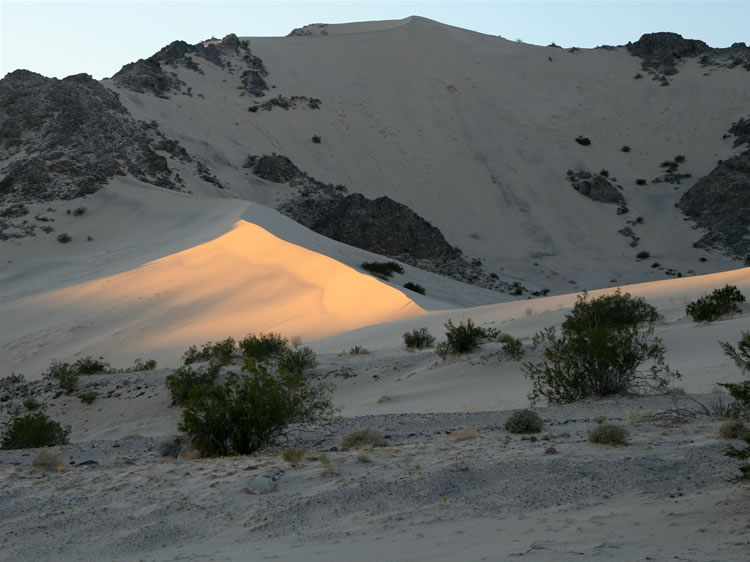 The last patch of sunlight on the dune ridge.