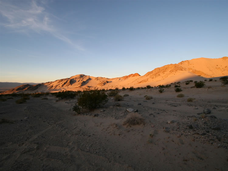 While Niki tries to find a dark spot under the sleeping bag, I grab a camera and prowl around to grab a few early morning shots of the dune area.