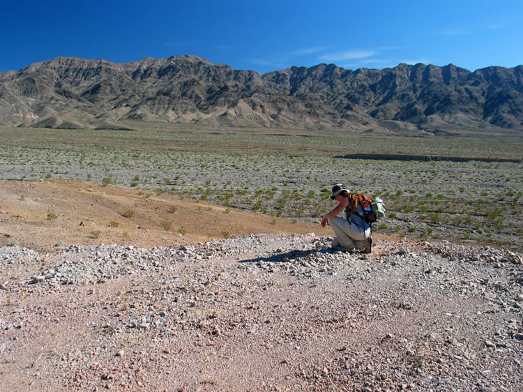 Niki looking over the tailings.