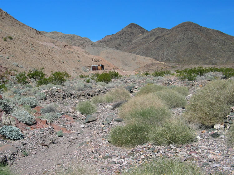 From the tunnel our GPS shows it's only a short hike to where the Arcturus was most likely located.   As we get close we spot a tin cabin!