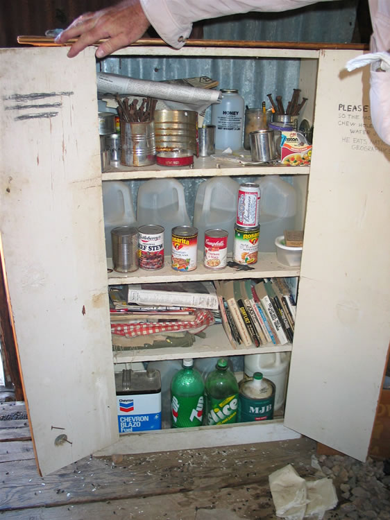 Immediately to the left of the door is a pantry and odds and ends cabinet.