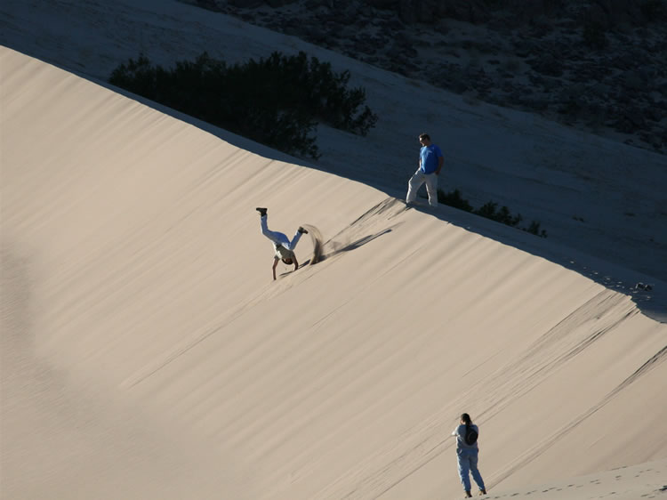 If the antics of the rain beetle seem strange, then those of humans are even odder!  Guy decides that he must cartwheel all the way down the face of the dune, and he does it!  Here are a few selected shots of his remarkable descent.  Notice that he doesn't even lose his hat!