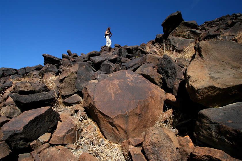 We find that having one person looking down on the boulder field and one looking up is great for spotting a greater number of petros.