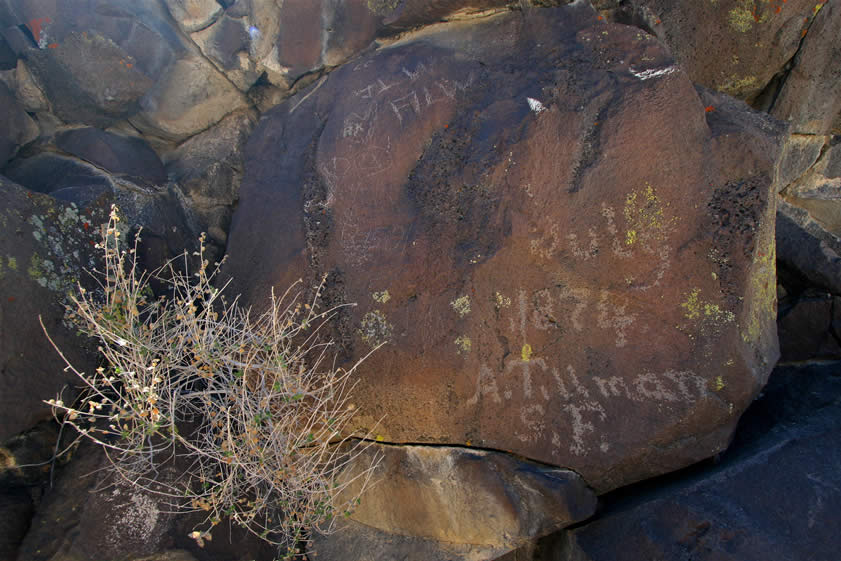 Just a little further up the canyon and back over on the east side is the first of three historic inscriptions by the mysterious A. Tillman.  The inscription reads "July, 1874, A. Tillman, S.F."  In 1873 Black Canyon was a bustling wagon road to the new boomtown of Panamint City and its silver mines.  It's possible that Tillman was a teamster who plied this route and that during his trips found time to inscribe his name at several spots along the canyon.  The Panamint boom was short lived and in 1875 the wagon road began its slide into obscurity.   Later today we'll hunt for the second, and most elaborate, of these inscriptions.