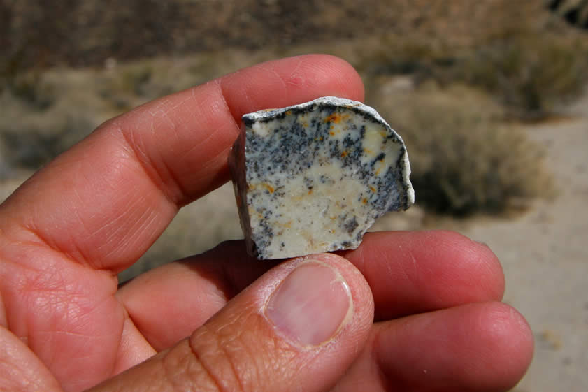 Jamie also found this nice piece of common opal with some dendrite-like inclusions in the nearby wash.