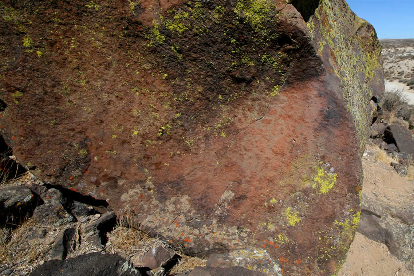 Lichen growth is much less on this face of the shelter and the petroglyphs can at least be dimly seen.