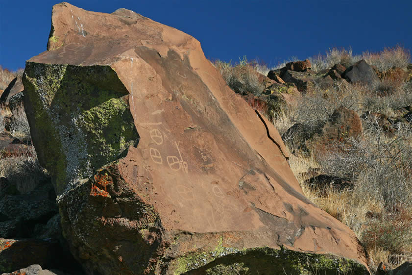 However, after much scouring of the vicinity we finally find what we're looking for.  This is really a huge boulder and in this view we're only seeing part of what's on it.