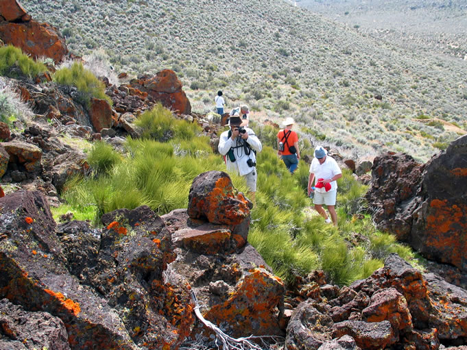 The petroglyphs are scattered among the boulders along the ridgeline.