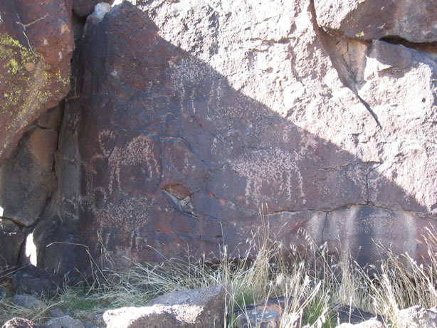 Big horn petroglyphs at Inscription Canyon.
