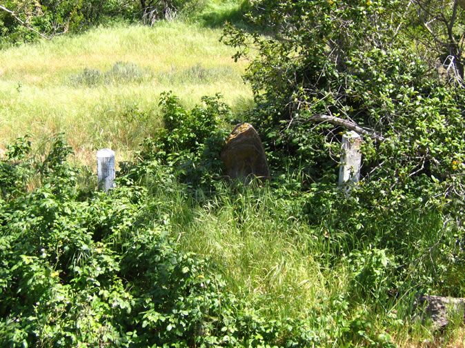 Midway through Santiago Canyon we stopped to look for the Hanged Man's Grave geocache.