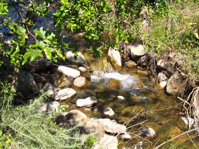 Black Star Creek runs along the trail for much of its length.