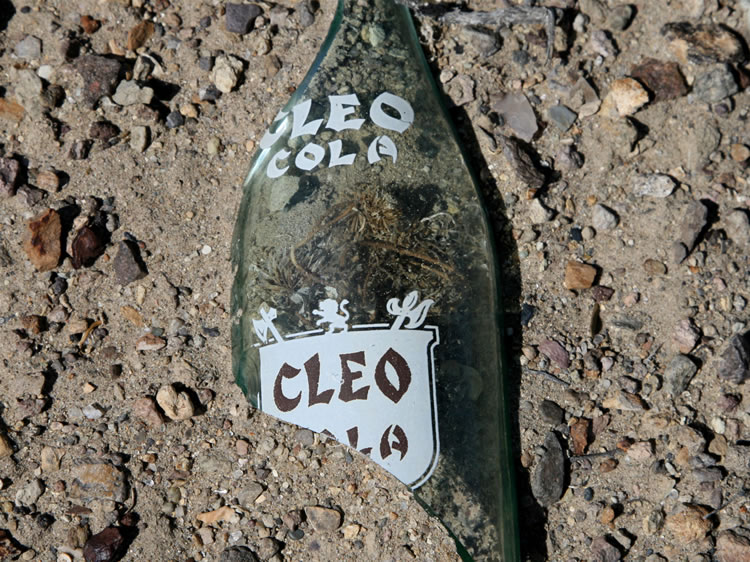 Cleo Cola was a soft drink introduced in 1935 to the popular line of sodas that Silvester Jones had been producing since 1916.  It joined the original orange flavored Whistle soda and Vess soda, which was added around 1927.  Cleo Cola was named after Jones' favorite cigar and featured Cleopatra as a trademark.