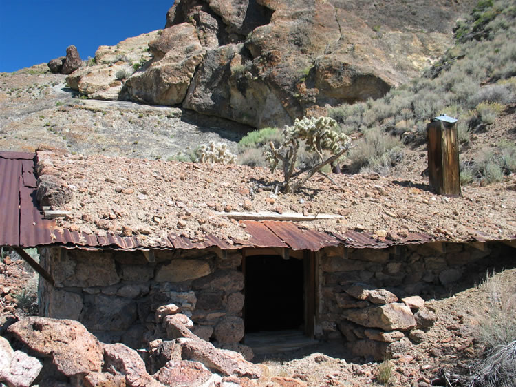 In this closer view you can see that there is a smaller cholla on the other side just over the ridge of the roof.