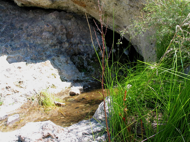 The spring next to the shelter bubbles up from a crack in the cliff face and empties into a natural tank.  It's then piped down to the corral below and into a water trough.
