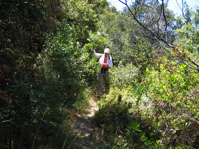 Heading back down the overgrown upper section of the trail.
