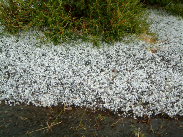 Not only did we have torrential rain, but we also had hail that was heavy enough to cause us to pull over to the side of the road.