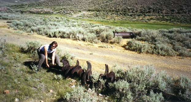 Niki getting ready to load up the shaft with its curved cams that actuated the stamps.