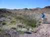 As we entered the hills we found a great deal of greenery in the washes. (120kb)