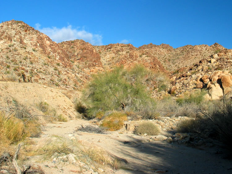 Those of you that have done the hike are probably wondering what we're doing heading up this canyon.  In a short while we'll be asking the same question!