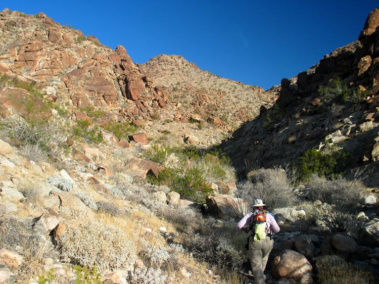 The footprints that we follow into the canyon have faded now.