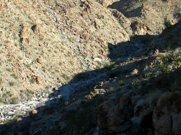 Oops!  Easier said than done!  If any bighorn sheep are watching, they're probably rolling on a boulder in fits of laughter as they watch our descent.