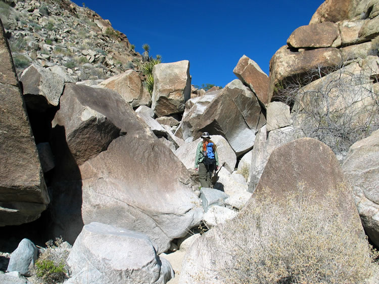 Niki looks for the easiest way over the jumble of boulders.