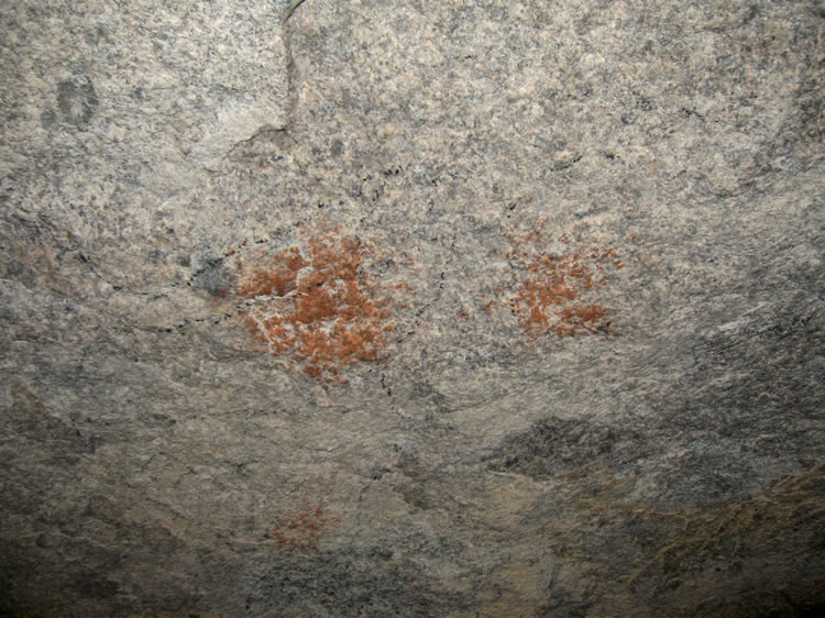 Notice the black outlines around the red ochre pigment.