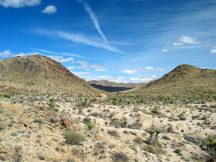 The old access road that used to drop down to Carey's Castle from the north passes through the saddle between these two hills.