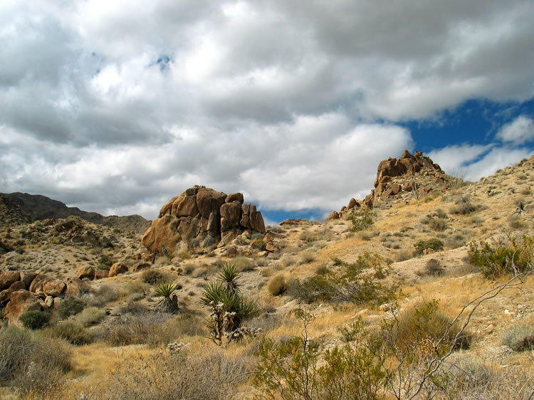 Cold winds and thickening clouds make us realize that we'd better start the return hike.