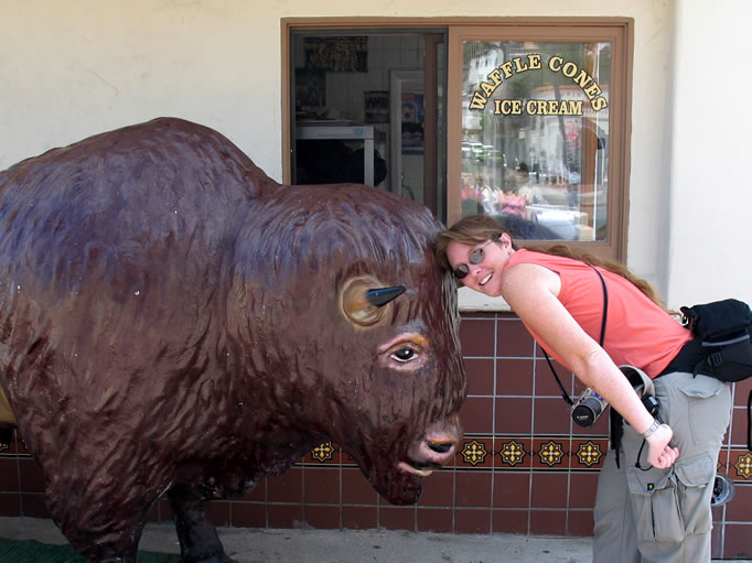 This local stubborn buffalo has finally met its match.
