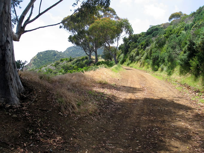 Our destination was the old Renton gold mine, perched in the hills on the east end of the island.