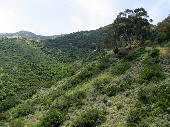 The climbing was gradual and the wildflowers were spectacular.