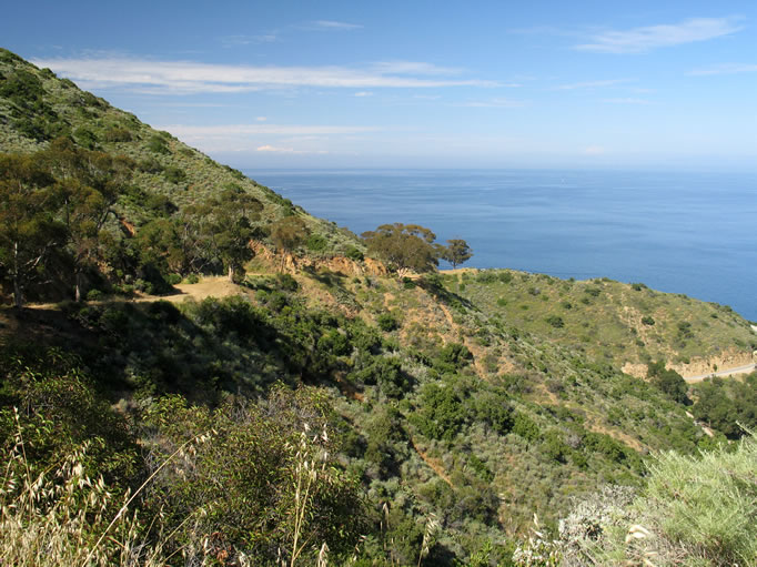 Great ocean views were found around every corner.