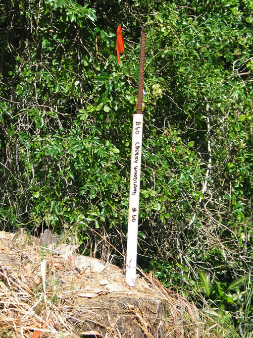 This stake is used as a reference point in locating the geocache.