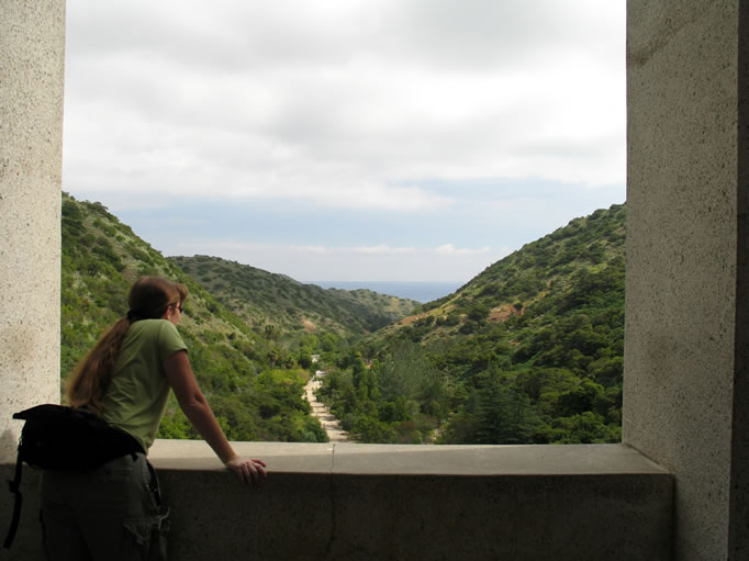 A look back toward town from the tower.