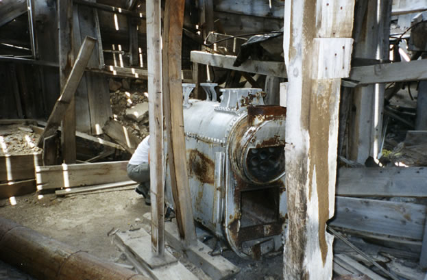 Niki inspects old boiler.