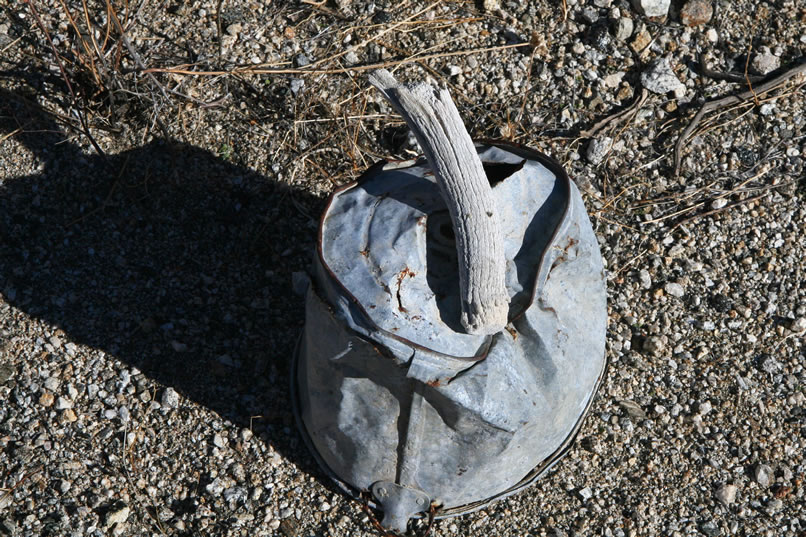 ...a galvanized bucket and part of a weather worn antler.