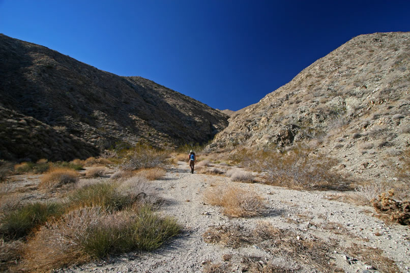 The afternoon is drawing swiftly to a close due to the short winter days.  However, we decide to make one side trip up a canyon to the location of a spring that's shown on the topographic map.