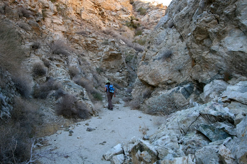 However, aside from a few patches of damp earth the spring seems to be dry.