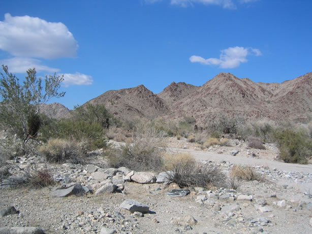 Stopping to explore one of the washes.