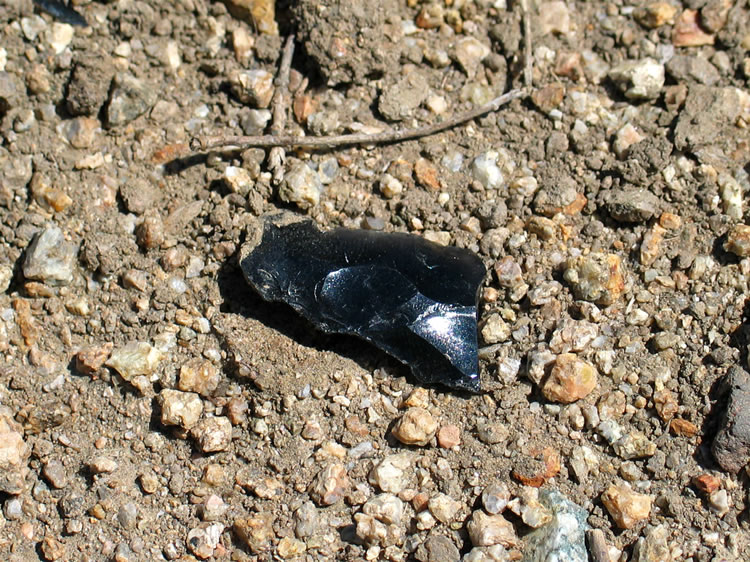 We also begin to see worked flakes of obsidian, remnants from the earlier inhabitants and creators of the rock art that we're seeking.