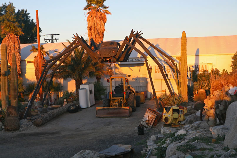 Near our Jack in the Box breakfast stop close to Palm Springs is the biggest black widow spider that we've ever seen!