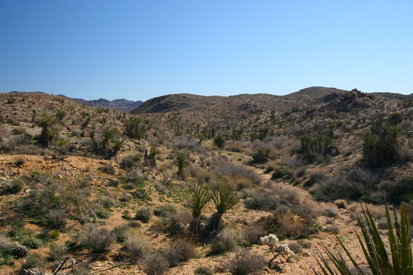 From here the road disappears for awhile into a sandy wash.