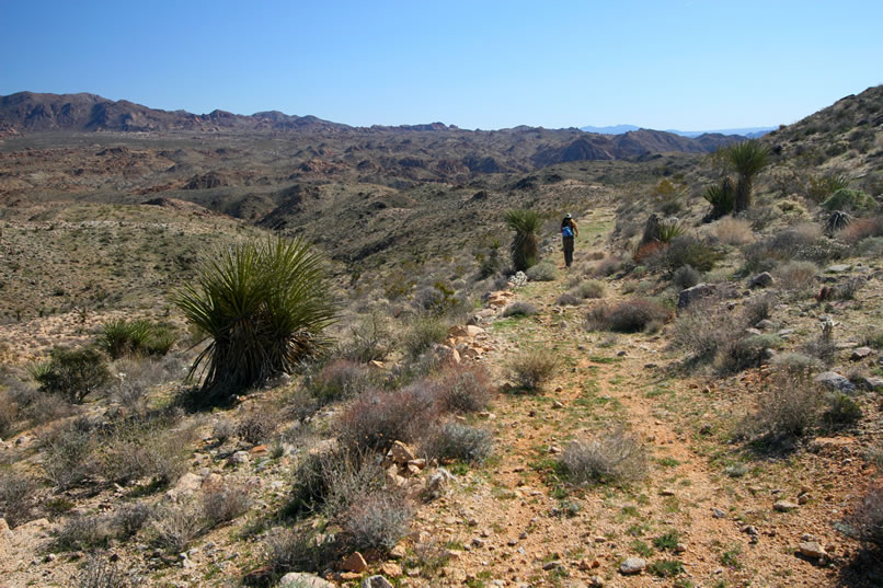 The Coyote Mine should be just after this short downhill section where the road ends.