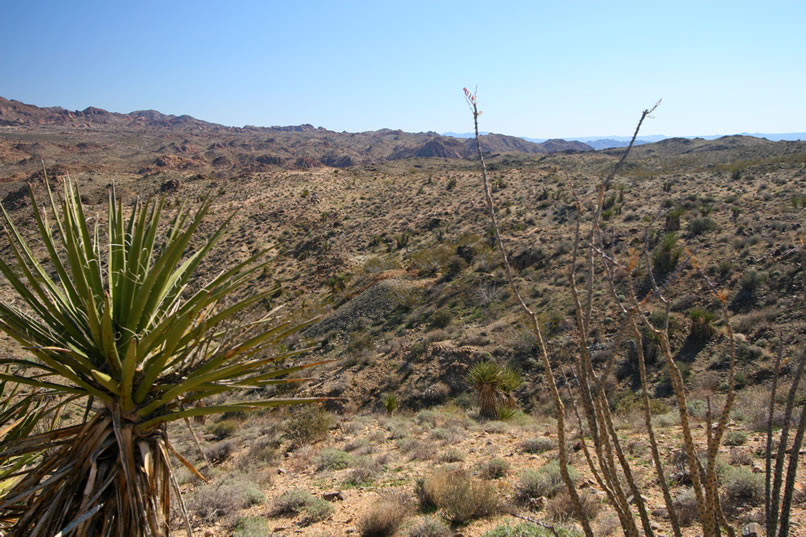 Here's a closer look.  Well, we found it but there doesn't seem to be much left!  After all that hiking and route finding we feel like howling!  Maybe that's why they call it the Coyote.  Heheheh.