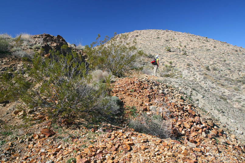 We decide to prowl around a bit and see if any historic trash turns up.