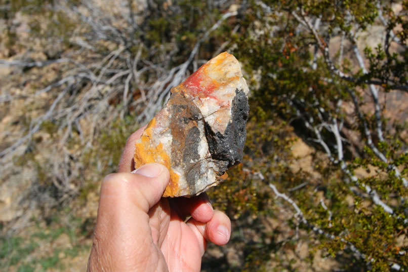 A piece of colorful rock from the tailings pile.