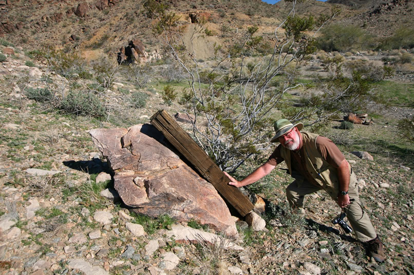 We find a few more timbers down below the flat site.